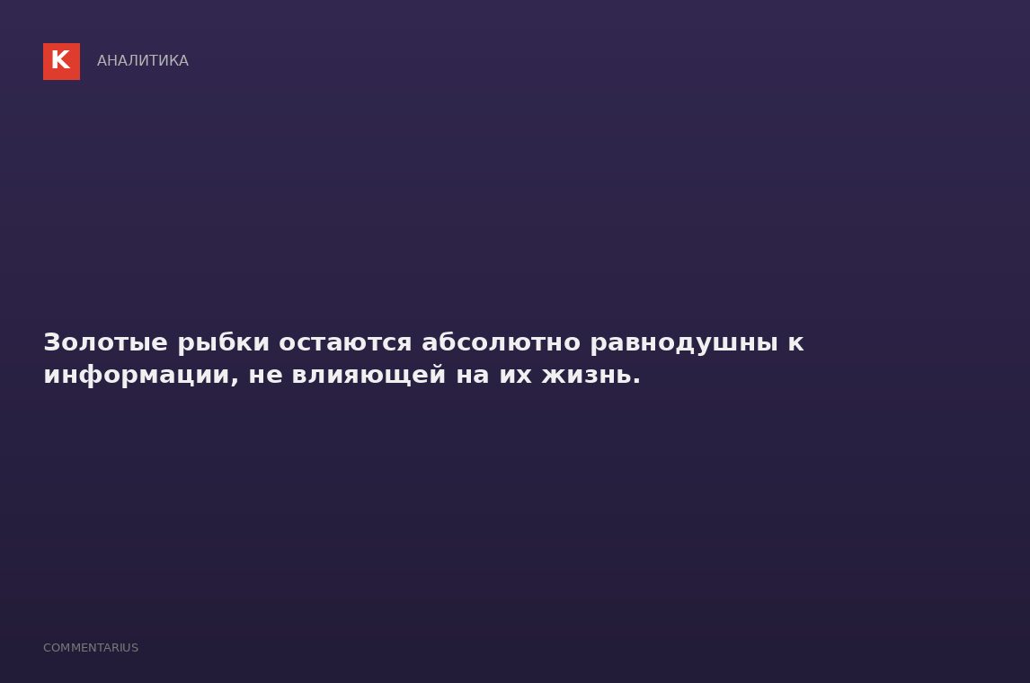 Золотые рыбки остаются абсолютно равнодушны к информации, не влияющей на их жизнь.